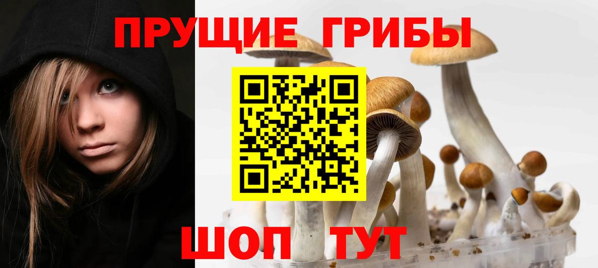 Псилоцибиновые грибы GOLDEN TEACHER  сколько стоит  Кубинка  Вход с VPN  Псилоцибиновые грибы Cubensis 